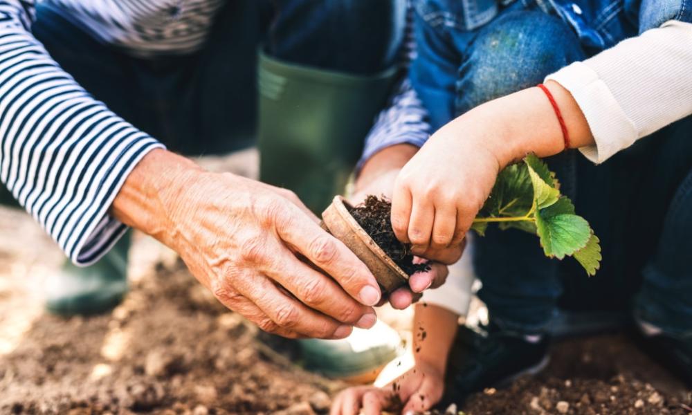 gardening